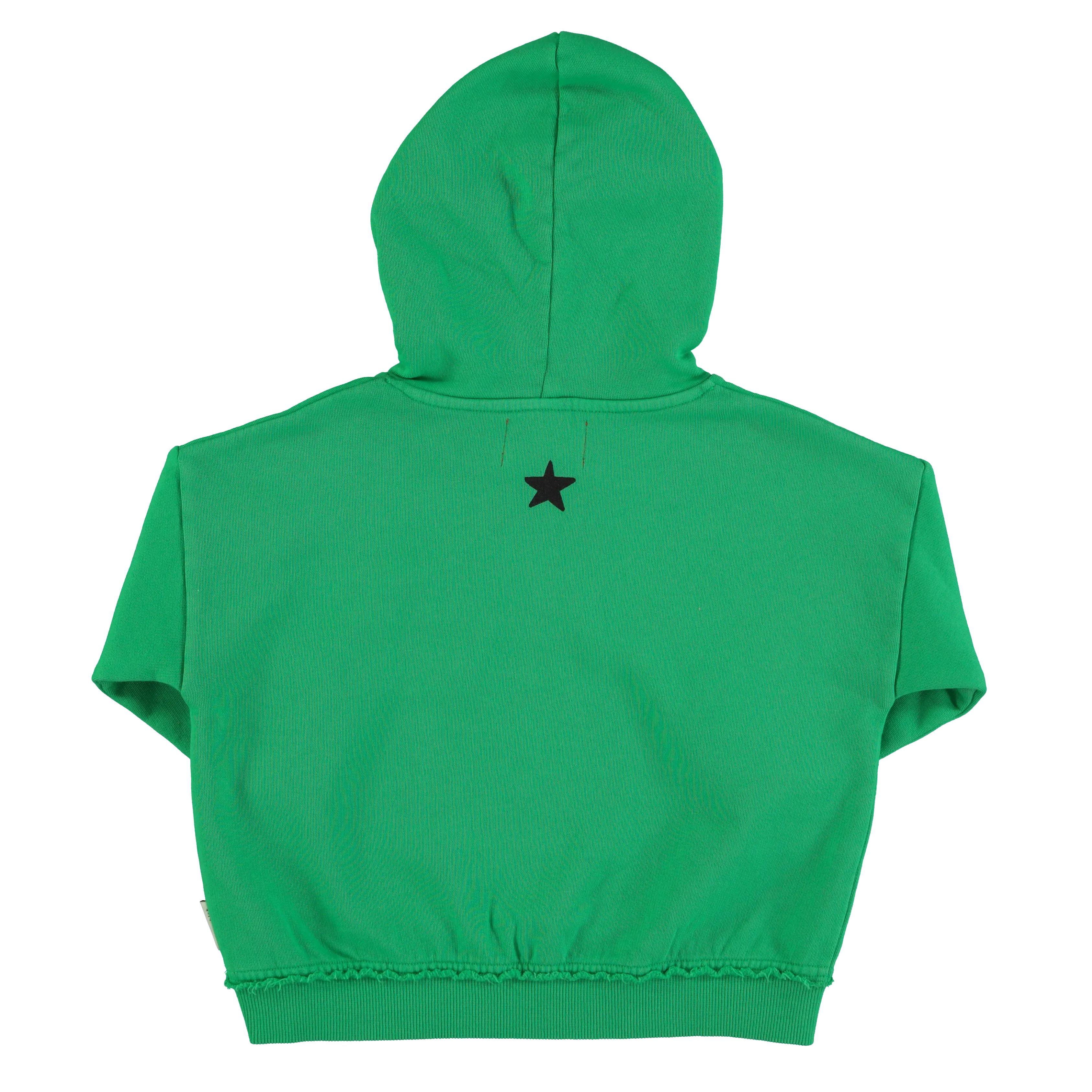 AW24.FLP2405- Green w/ "cavalier" print